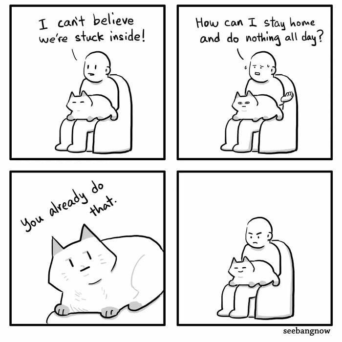 29 Comics By Xibang Starring A Cat Who Is Honest, Dramatic, And Absolutely Unbothered