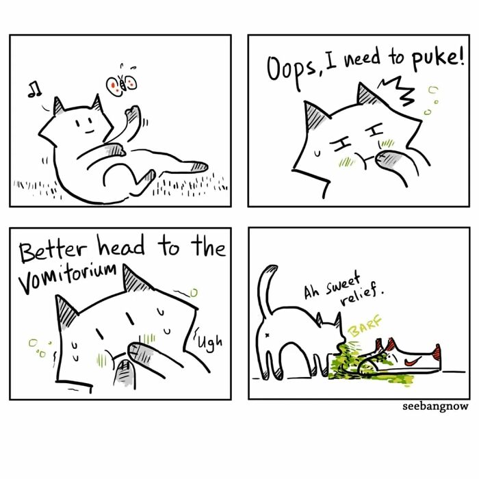 29 Comics By Xibang Starring A Cat Who Is Honest, Dramatic, And Absolutely Unbothered