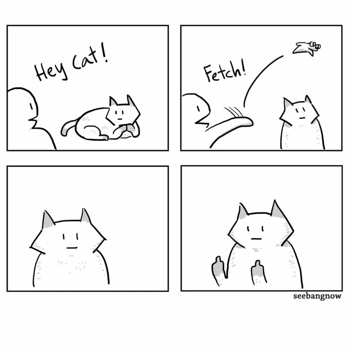 29 Comics By Xibang Starring A Cat Who Is Honest, Dramatic, And Absolutely Unbothered