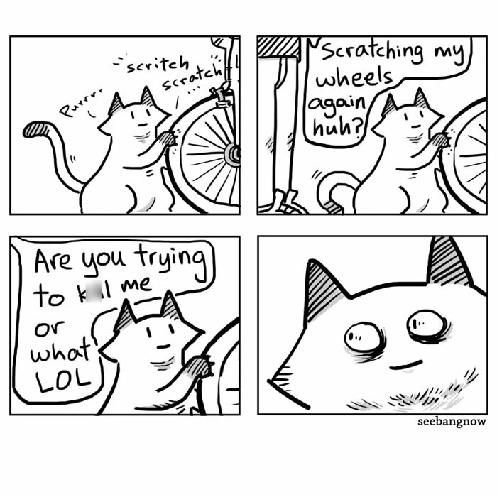 29 Comics By Xibang Starring A Cat Who Is Honest, Dramatic, And Absolutely Unbothered