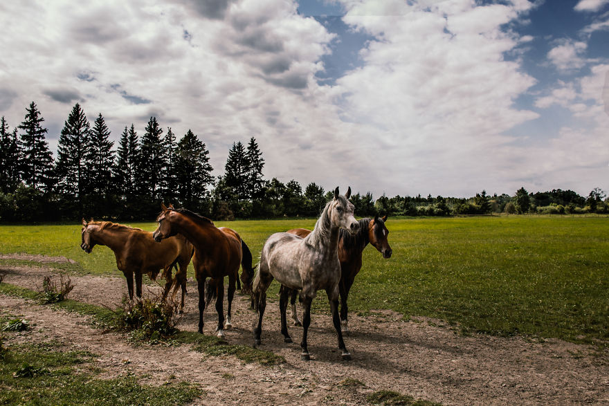 I Love To Escape With My Camera (Part 2) I Love To Escape With My Camera (Part 2)