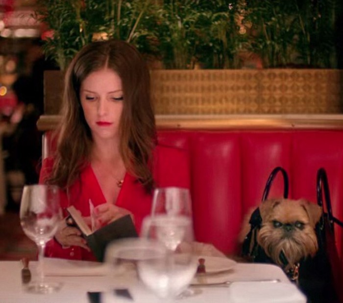 25 Times Anna Kendrick Proved She&#8217;s A Real-Life Disney Princess