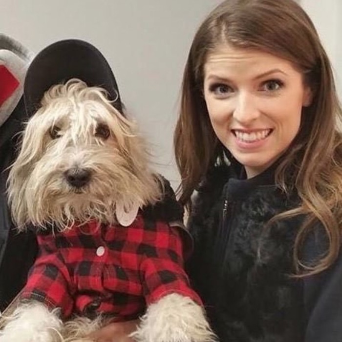 25 Times Anna Kendrick Proved She&#8217;s A Real-Life Disney Princess