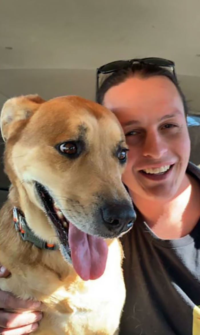 One Family Decides They Can’t Take Care Of Their Dog, Drops Him Off At Shelter With Toys And Bed One Family Decides They Can’t Take Care Of Their Dog, Drops Him Off At Shelter With Toys And Bed