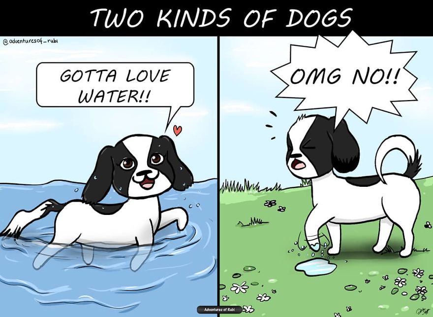 My 29 Comics That Every Dog Owner Will Understand My 29 Comics That Every Dog Owner Will Understand