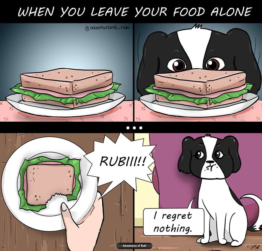 My 29 Comics That Every Dog Owner Will Understand My 29 Comics That Every Dog Owner Will Understand