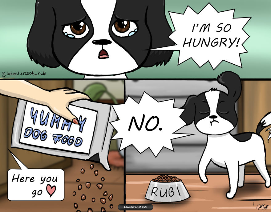 My 29 Comics That Every Dog Owner Will Understand My 29 Comics That Every Dog Owner Will Understand