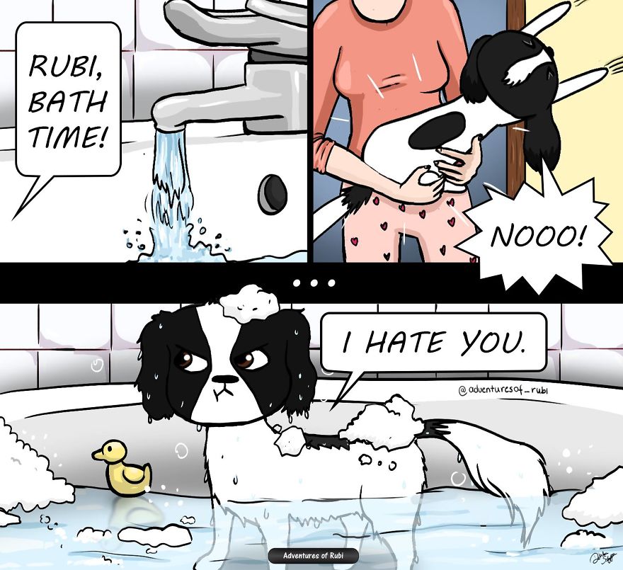 My 29 Comics That Every Dog Owner Will Understand My 29 Comics That Every Dog Owner Will Understand