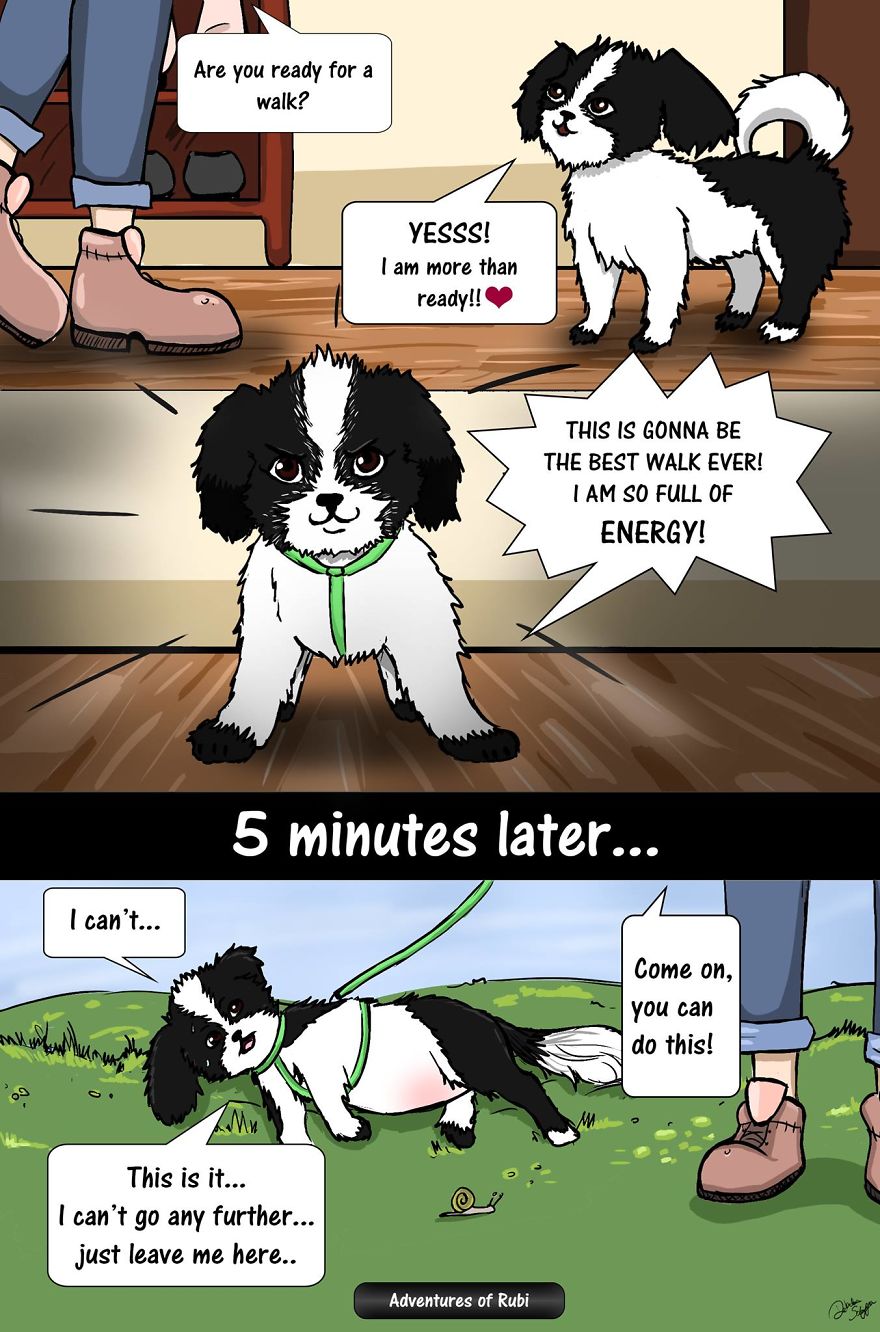 My 29 Comics That Every Dog Owner Will Understand My 29 Comics That Every Dog Owner Will Understand