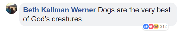 This Dog Who Survived A California Wildfire And Guarded His Home For A Month Gets Heartwarming Reunion This Dog Who Survived A California Wildfire And Guarded His Home For A Month Gets Heartwarming Reunion