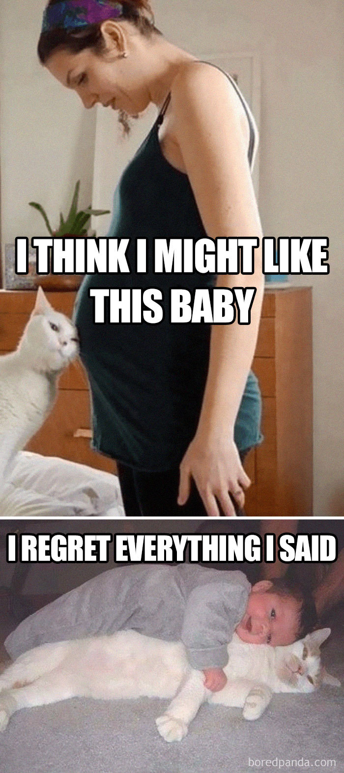 50 Of The Funniest Pregnancy Memes Ever