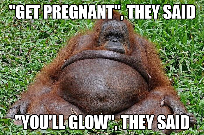 50 Of The Funniest Pregnancy Memes Ever