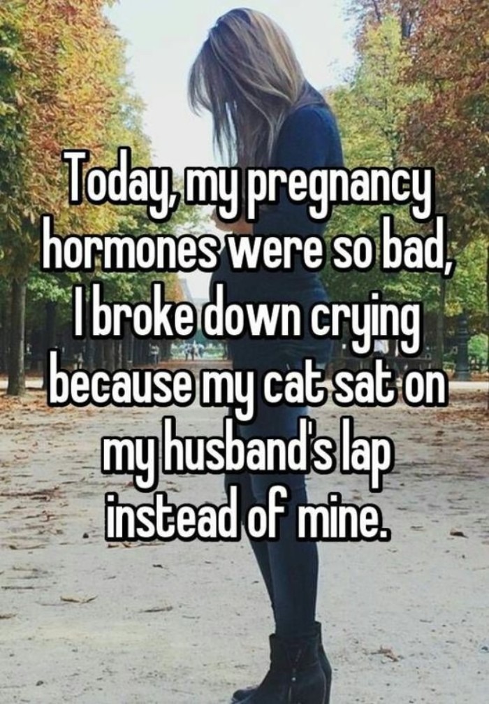 50 Of The Funniest Pregnancy Memes Ever