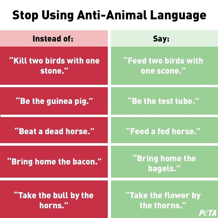 PETA Asks People To Stop Using &#8220;Anti-Animal&#8221; Phrases And People Can&#8217;t Help But Laugh