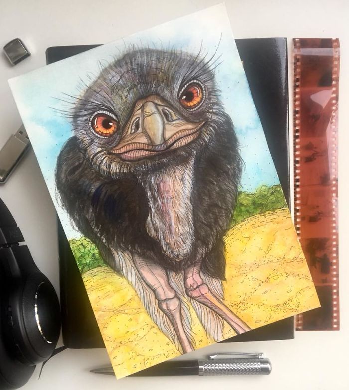 I Use Watercolor And A Black Pen To Create Illustrations That Inspire People To See The Beauty Of Nature