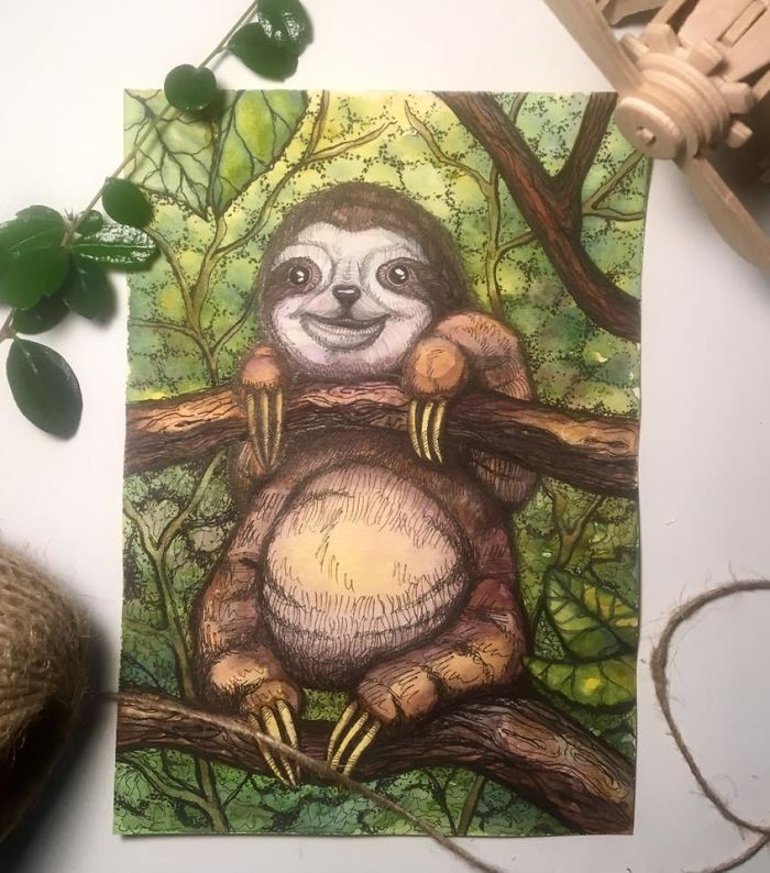 I Use Watercolor And A Black Pen To Create Illustrations That Inspire People To See The Beauty Of Nature