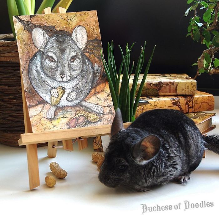 I Use Watercolor And A Black Pen To Create Illustrations That Inspire People To See The Beauty Of Nature