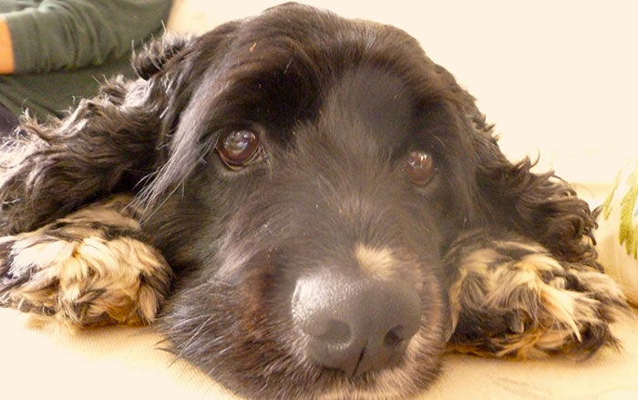 50 Of The Best Life Hacks That May Change Your Life 50 Of The Best Life Hacks That May Change Your Life