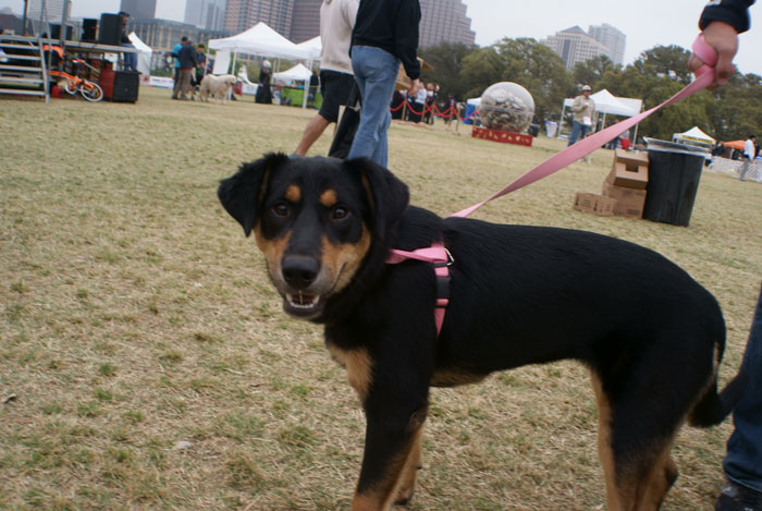 50 Of The Best Life Hacks That May Change Your Life 50 Of The Best Life Hacks That May Change Your Life