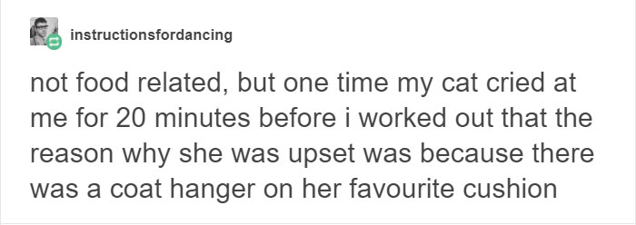 13 Times Cats Hilariously Surprised Their Owners With How Weird They Are