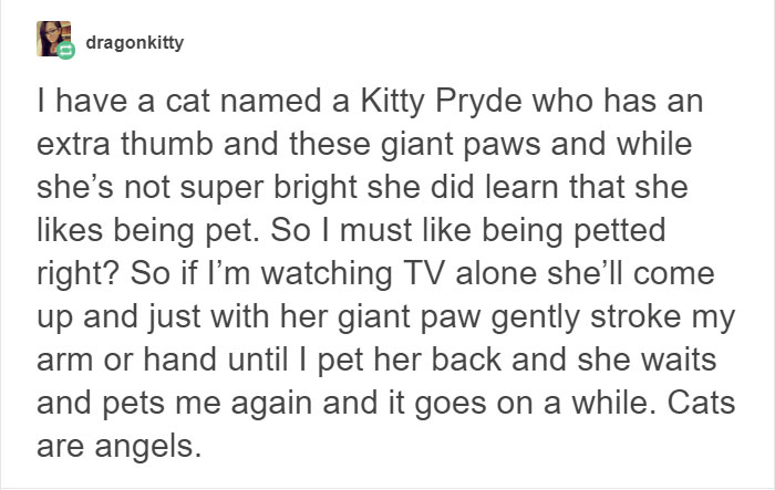 13 Times Cats Hilariously Surprised Their Owners With How Weird They Are