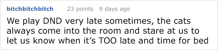 13 Times Cats Hilariously Surprised Their Owners With How Weird They Are