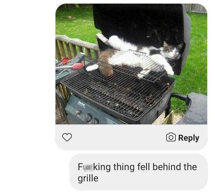 Guy Gets A Message From A Dating Site Bot, Sees How Far He Can Take The Conversation Guy Gets A Message From A Dating Site Bot, Sees How Far He Can Take The Conversation