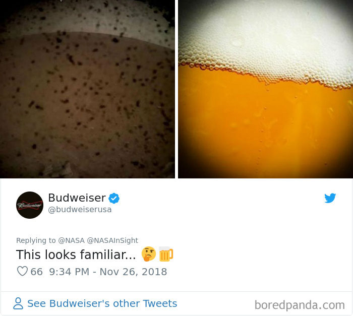 40 Hilarious Reactions To NASA’s InSight’s First Photos From Mars