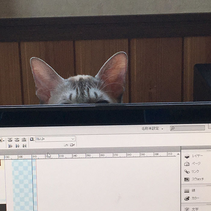 Japanese Man Creates Anti-Cat Keyboard Protection, Tests It On His Cat Japanese Man Creates Anti-Cat Keyboard Protection, Tests It On His Cat