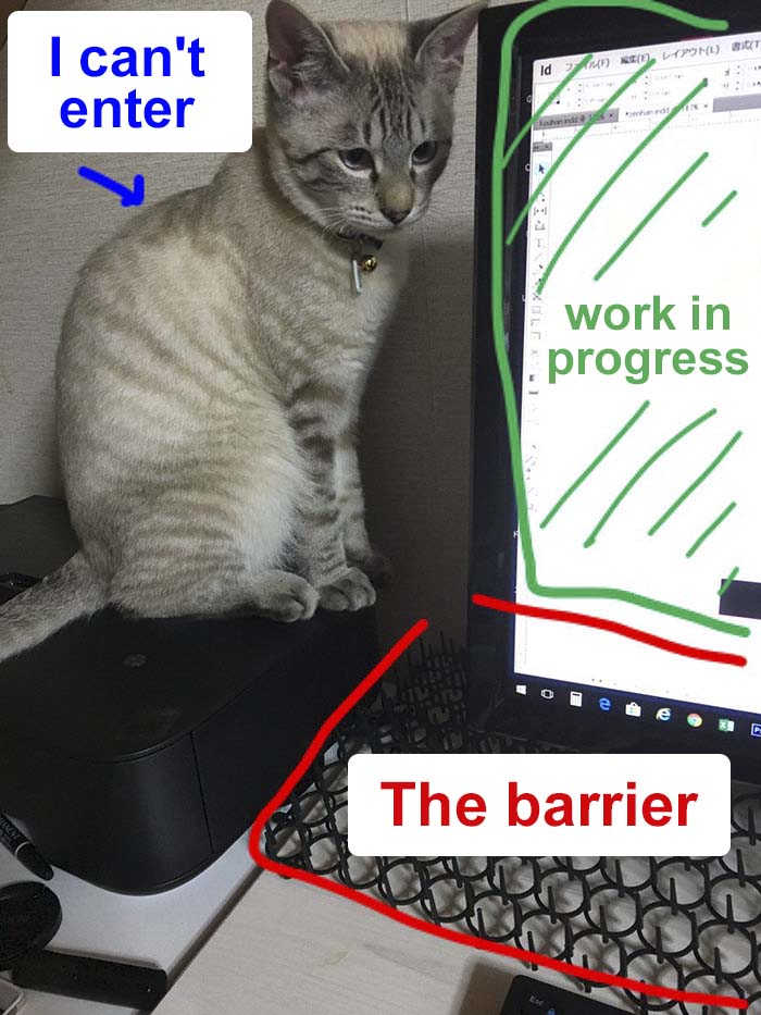 Japanese Man Creates Anti-Cat Keyboard Protection, Tests It On His Cat Japanese Man Creates Anti-Cat Keyboard Protection, Tests It On His Cat