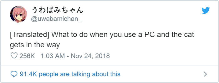 Japanese Man Creates Anti-Cat Keyboard Protection, Tests It On His Cat Japanese Man Creates Anti-Cat Keyboard Protection, Tests It On His Cat