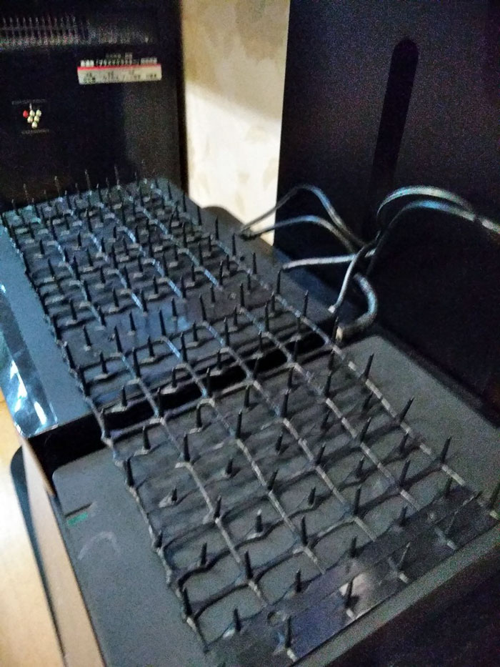 Japanese Man Creates Anti-Cat Keyboard Protection, Tests It On His Cat Japanese Man Creates Anti-Cat Keyboard Protection, Tests It On His Cat