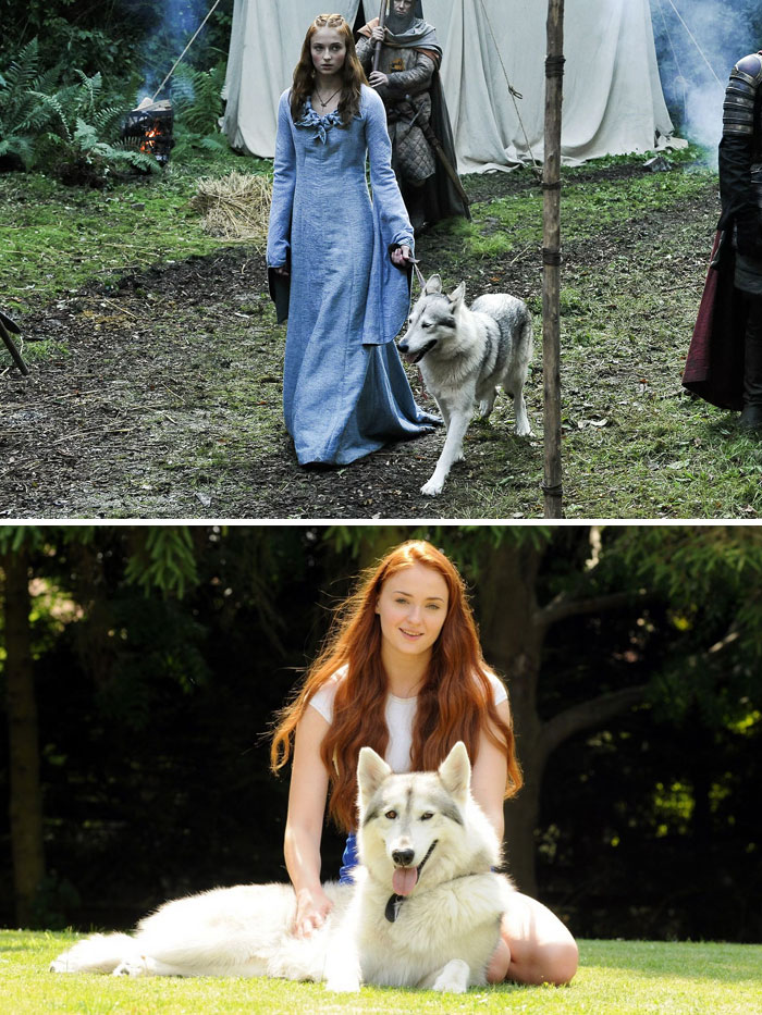 50 Game Of Thrones Facts That You Probably Didn’t Know 50 Game Of Thrones Facts That You Probably Didn’t Know