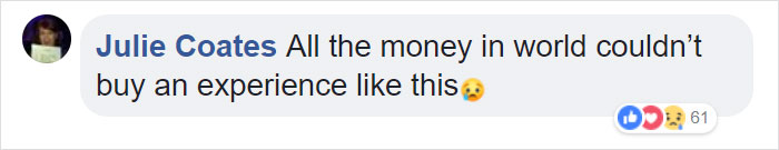 This £50 Budget Christmas Ad Is Taking Over The Internet