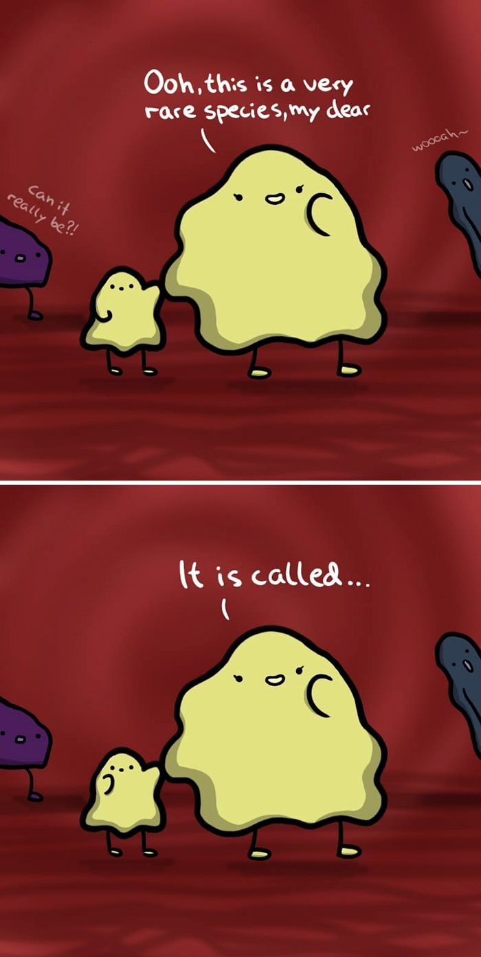 I’m Not The Prettiest But I Have A Good Personality, And Here’s My Life As A Potato (24 Comics) I’m Not The Prettiest But I Have A Good Personality, And Here’s My Life As A Potato (24 Comics)