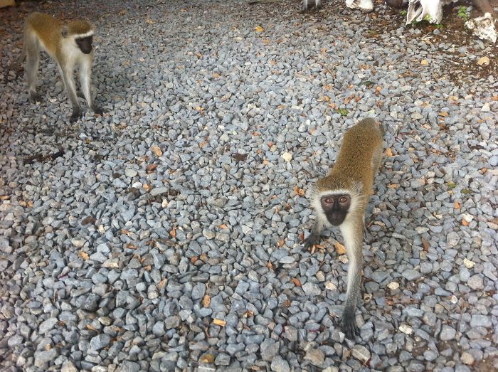 I’m Leaving The Military To Be A Writer – And Now I’m An Award-Winning Author! I’m Leaving The Military To Be A Writer – And Now I’m An Award-Winning Author!