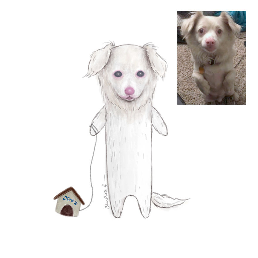 I Draw My Instagram Followers’ Pets And Share Their Stories With The World I Draw My Instagram Followers’ Pets And Share Their Stories With The World