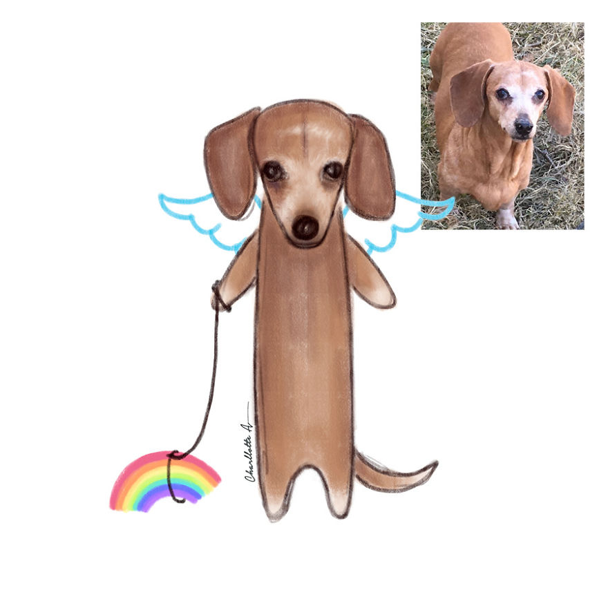 I Draw My Instagram Followers’ Pets And Share Their Stories With The World I Draw My Instagram Followers’ Pets And Share Their Stories With The World