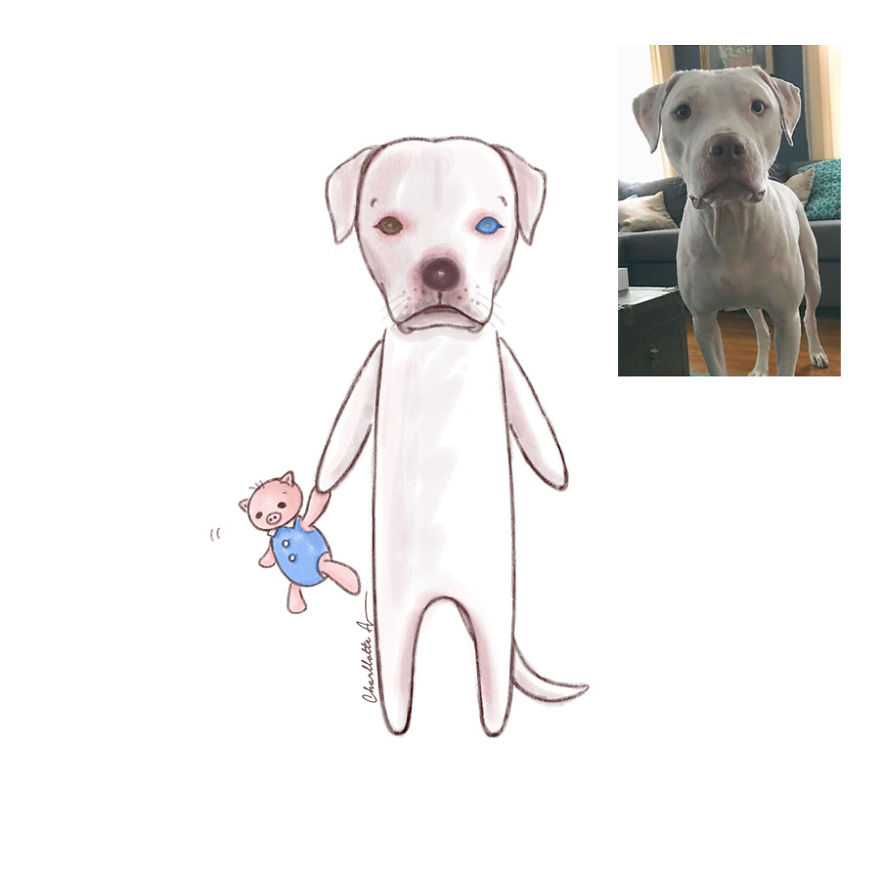 I Draw My Instagram Followers’ Pets And Share Their Stories With The World I Draw My Instagram Followers’ Pets And Share Their Stories With The World