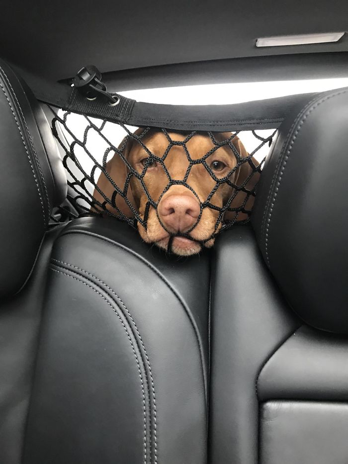 45 Times When The World Aligned And Things Fit Perfectly Together