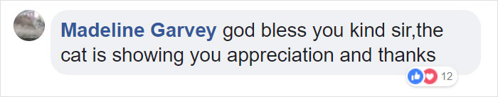 Firefighter Saves Cat From Wildfire In California, And Now She Can’t Thank Him Enough Firefighter Saves Cat From Wildfire In California, And Now She Can’t Thank Him Enough