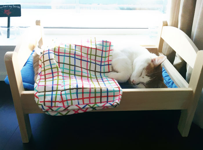 Japanese Cat Owners Turn IKEA Doll Beds Into Adorable Cat Beds Japanese Cat Owners Turn IKEA Doll Beds Into Adorable Cat Beds