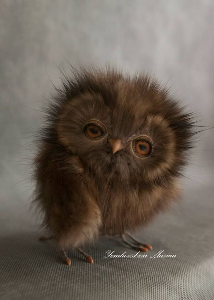 Artist Makes Incredibly Realistic Owl Toys Artist Makes Incredibly Realistic Owl Toys