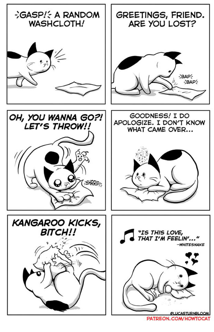My Wife Insisted That I Put These Comics On The Internet &ndash; They&rsquo;re About A Cat We Rescued (45 New Pics)