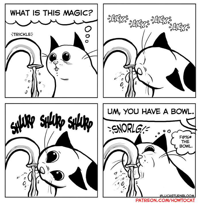 My Wife Insisted That I Put These Comics On The Internet &ndash; They&rsquo;re About A Cat We Rescued (45 New Pics)