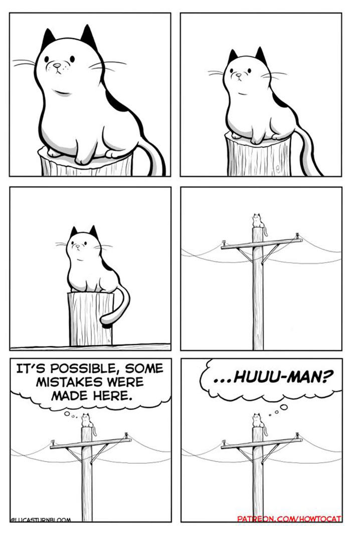 My Wife Insisted That I Put These Comics On The Internet &ndash; They&rsquo;re About A Cat We Rescued (45 New Pics)