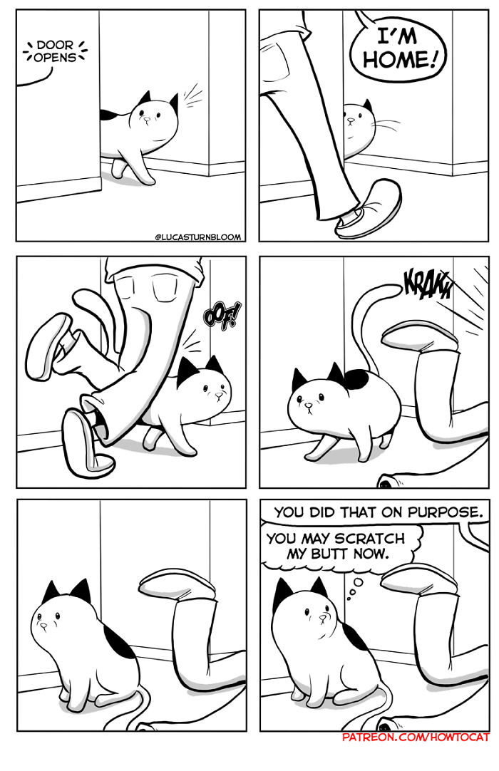 My Wife Insisted That I Put These Comics On The Internet &ndash; They&rsquo;re About A Cat We Rescued (45 New Pics)
