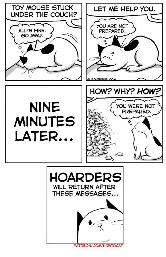 My Wife Insisted That I Put These Comics On The Internet &ndash; They&rsquo;re About A Cat We Rescued (45 New Pics)