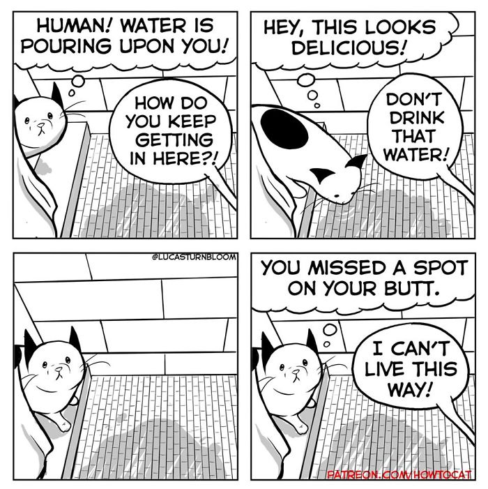 My Wife Insisted That I Put These Comics On The Internet &ndash; They&rsquo;re About A Cat We Rescued (45 New Pics)