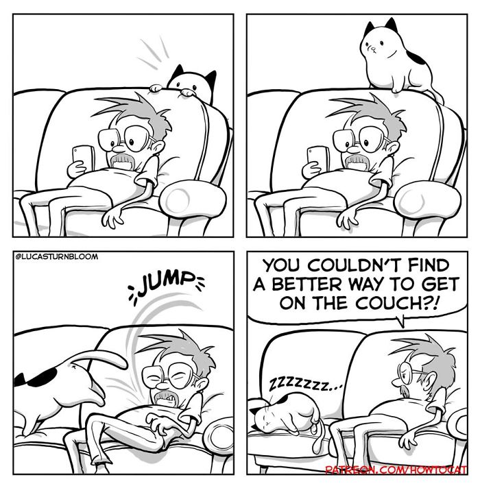 My Wife Insisted That I Put These Comics On The Internet &ndash; They&rsquo;re About A Cat We Rescued (45 New Pics)